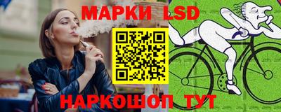 крисы Шебекино