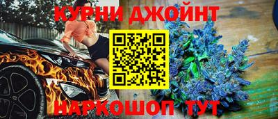 крисы Шебекино
