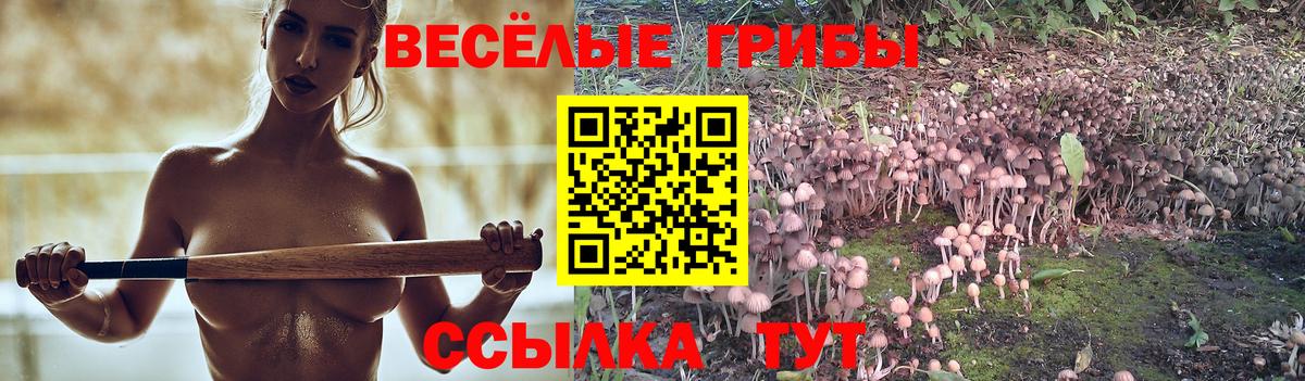 Галлюциногенные грибы Psilocybine cubensis  Вход с VPN  Асбест  Галлюциногенные грибы прущие грибы 
