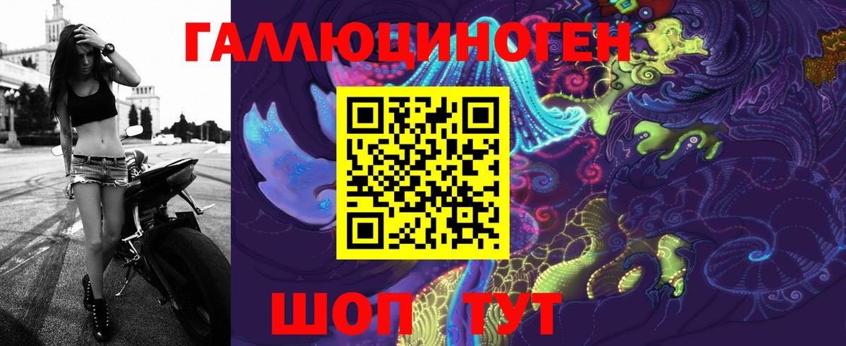 Псилоцибиновые грибы Psilocybine cubensis Асбест